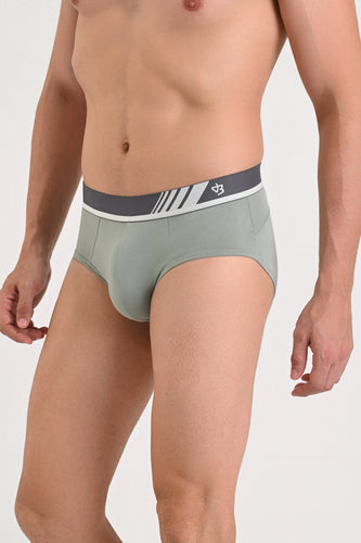 Briefs